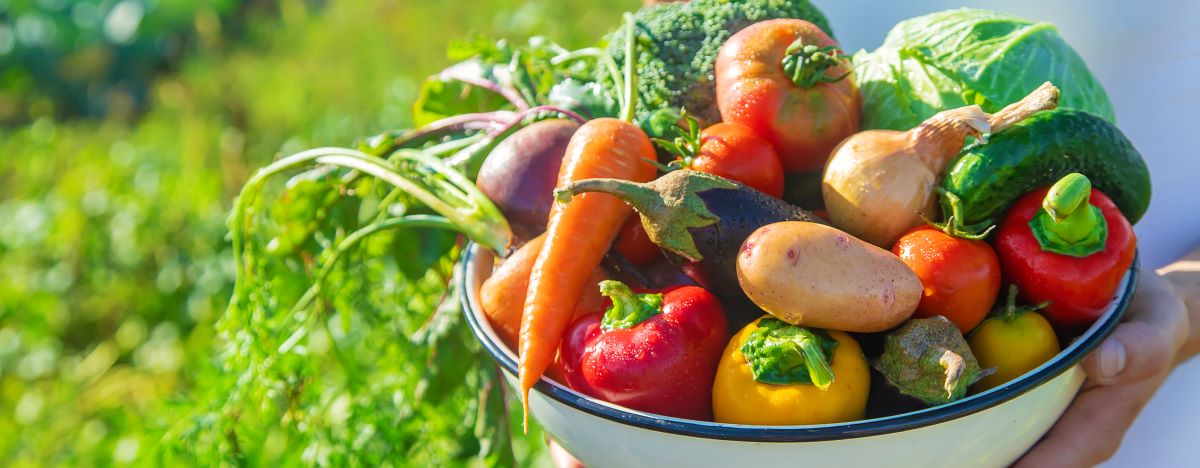 Saisonkalender Deutschland: Obst & Gemüse Jahresübersicht